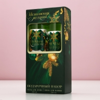 Подарочный набор ЧИСТОЕ СЧАСТЬЕ «Исполнения желаний»: гель для душа и пена для ванны, 2х250 мл, Новый Год Подарочный набор ЧИСТОЕ СЧАСТЬЕ «Исполнения желаний»: гель для душа и пена для ванны, 2х250 мл, Новый Год