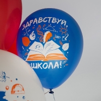 Шар латексный 12" &laquo;1 Сентября&raquo;, 1-сторонний, 5 дизайнов, шелкография, набор 25 шт., МИКС