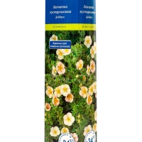 Лапчатка кустарниковая (Серия Северный сад) "Дейдаун" 1 шт, туба, Весна 2025