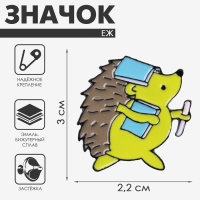 Значок &laquo;Ёжик&raquo; ученик, цветной в чёрном металле