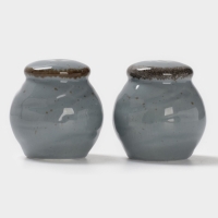 Набор для специй 2 шт Magistro "Alpine Frost" 5х6 см цвет синий, перечница, солонка