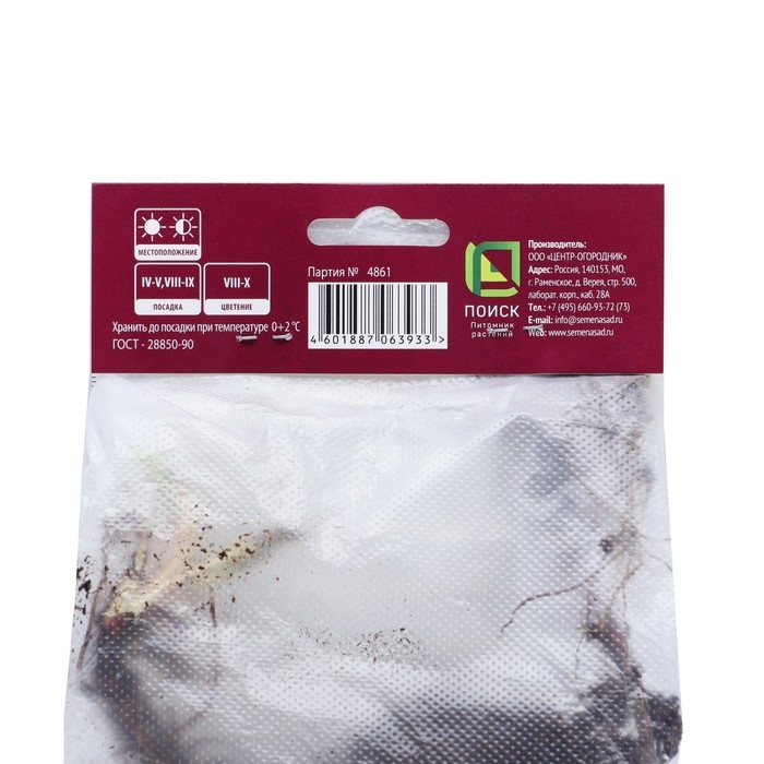 Астра новобельгийская &laquo;Фэллоушип&raquo;,корневище в торфогрунте, р-р I, 1 шт.