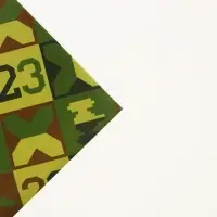 Бумага упаковочная глянцевая &laquo;Милитари 23 февраля&raquo;, 70 х 100 см