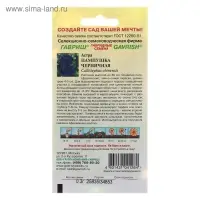 Семена цветов Астра Пампушка черничная, помпонная, О, ц/п, 0,3 г