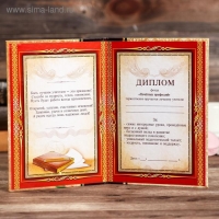 Диплом "Лучшего учителя"