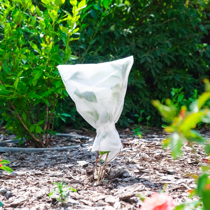 Чехол для растений, 28 × 40 см, спанбонд с УФ-стабилизатором, плотность 60 г/м², МИКС Чехол для растений, 28 × 40 см, спанбонд с УФ-стабилизатором, плотность 60 г/м², МИКС