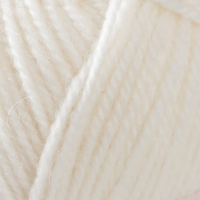 Пряжа "Подмосковная" 50% шерсть, 50% акрил 250м/100гр (01, белый)