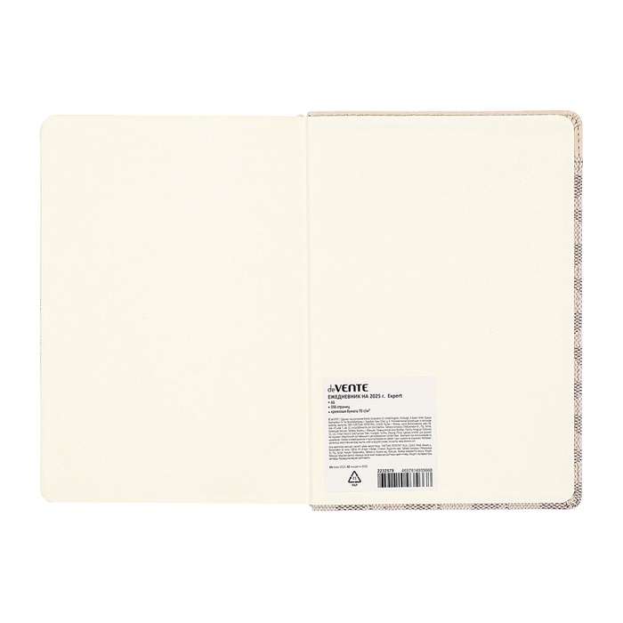 Ежедневник датированный 2025 года A5 168 листов, deVENTE. Expert, интегральная обложка кожзам, карман, перфорация, ляссе, кремовый блок 70 г/м2, серый