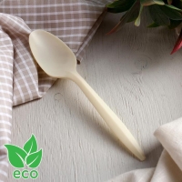 Набор одноразовых ложек из кукурузного крахмала Nature, 14 см, 6 шт Набор одноразовых ложек из кукурузного крахмала Nature, 14 см, 6 шт