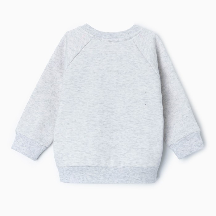 Свитшот детский, начёс, цвет серый, рост 80 см