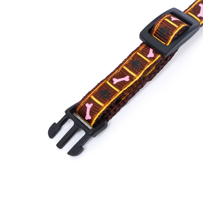 Ошейник двухслойный с фастексом "Косточки и лапки", 30 х 1 см, коричневый