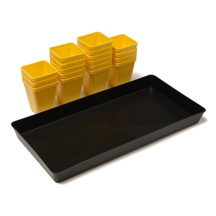 Набор для рассады: стаканы по 200 мл (18 шт.), поддон 36,5 &times; 17 см, цвет МИКС, Greengo