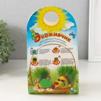 Растущий подарок травка Экоживчик "Змейка пятнистая" синяя