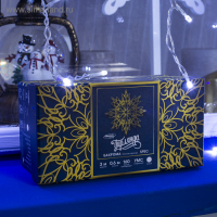 Гирлянда &laquo;Бахрома&raquo; 3 &times; 0.6 м, IP44, УМС, прозрачная нить, 160 SMD-LED, свечение белое, 220 В