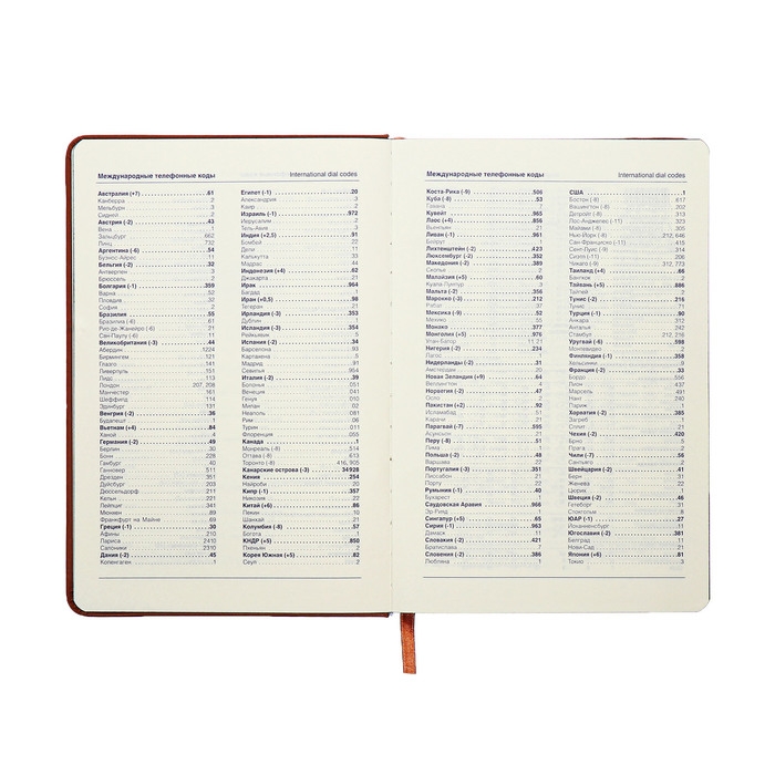 Ежедневник недатированный A5, 140л, клетка, кожзам, на резинке, черный срез, Коричневый