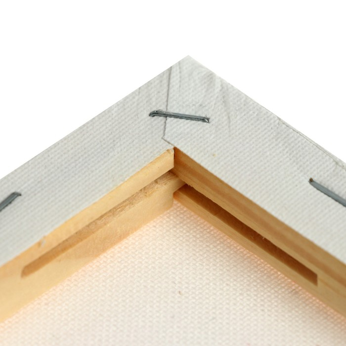 Холст на подрамнике, хлопок 100%, 50 х 50 х 1.8 см, акриловый грунт, мелкозернистый, 280 г/м&sup2;