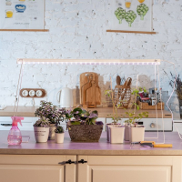 Фитосветильник светодиодный Uniel, 14 Вт, 872 мм, IP20, 220 В, полноспектральный, с выкл. Фитосветильник светодиодный Uniel, 14 Вт, 872 мм, IP20, 220 В, полноспектральный, с выкл.