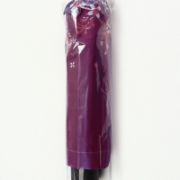 Зонт механический «Хамелеон», эпонж, 4 сложения, 10 спиц, R = 49/56 см, D = 112 см, цвет МИКС Зонт механический «Хамелеон», эпонж, 4 сложения, 10 спиц, R = 49/56 см, D = 112 см, цвет МИКС