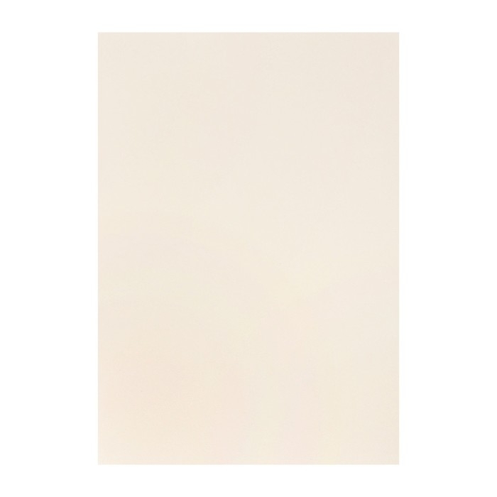 Бумага для пастели А4, 10 листов, Бумага для пастели А4, 10 листов, "Архитектура", бумага слоновая кость, ГОЗНАК, тиснение "холст", блок 200 г/м2, в папке