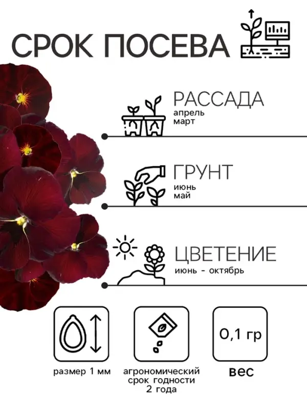 Семена Виола "Красное вино", 0,1 г