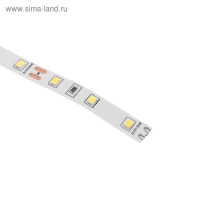 Светодиодная лента Ecola PRO 5 м, IP20, SMD5060, 60 LED/м, 11 Вт/м, 12 В, 4200К