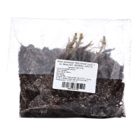 Флокс метельчтый "Miss holland" р-р II, 2 шт, Весна 2025, ЭКОНОМ,