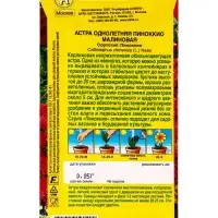 Семена цветов Астра Пиноккио малиновая  Цветущий балкон, Ц/П,0,05 г