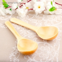 Ложка салатная, покрытая лаком, 6&times;21 см