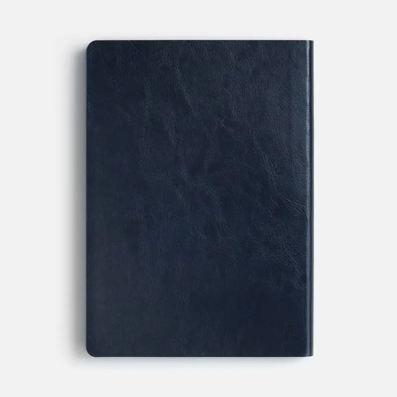 Ежедневник Doppio, недатированный, синий с голубым