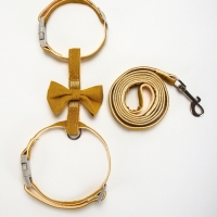 Комплект амуниции "Леди и Джентельмен", поводок 120 х 1,5 см, желтый