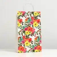 Пакет подарочный "Пёстрость", крафт, 40.5 x 24.8 x 9 см