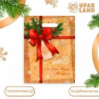 Пакет &laquo;Послание от деда мороза и снегурочки&raquo;, полиэтиленовый с вырубной ручкой, 30&times;40 см