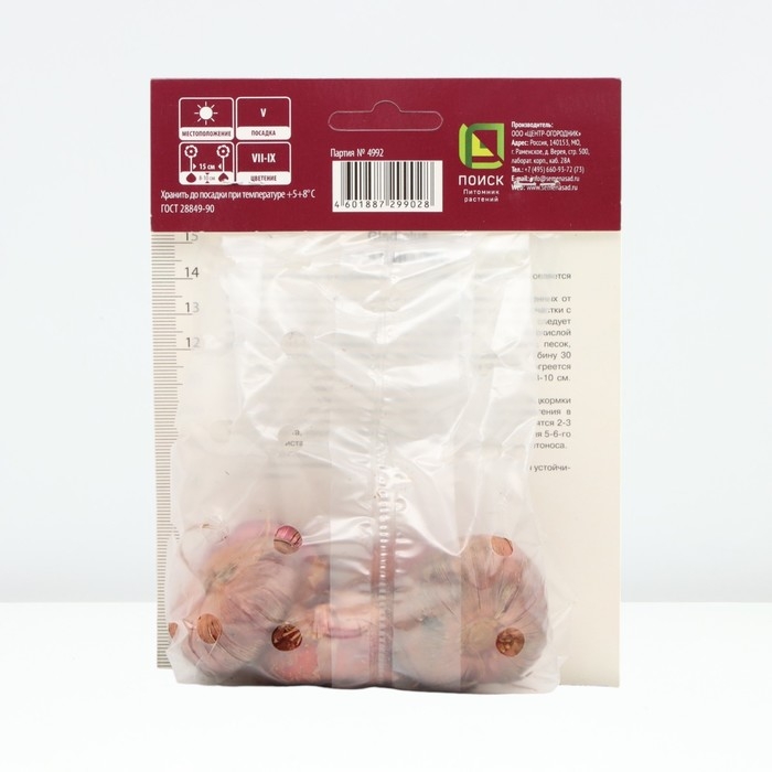 Гладиолус крупноцветковый &laquo;Шинон&raquo;, луковица цветов в пакете с перфорацией, р-р 12/14, 5 шт.