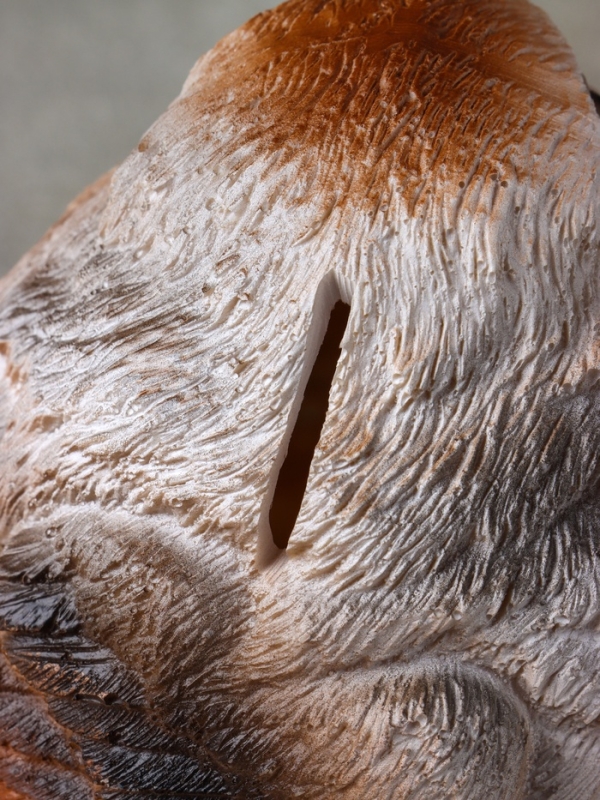 Копилка "Птенец" 11х15х11 см