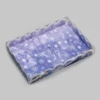 Коробка для печенья, кондитерская новогодняя упаковка, &laquo;С Новым годом!&raquo;, 22&times;15&times;3 см