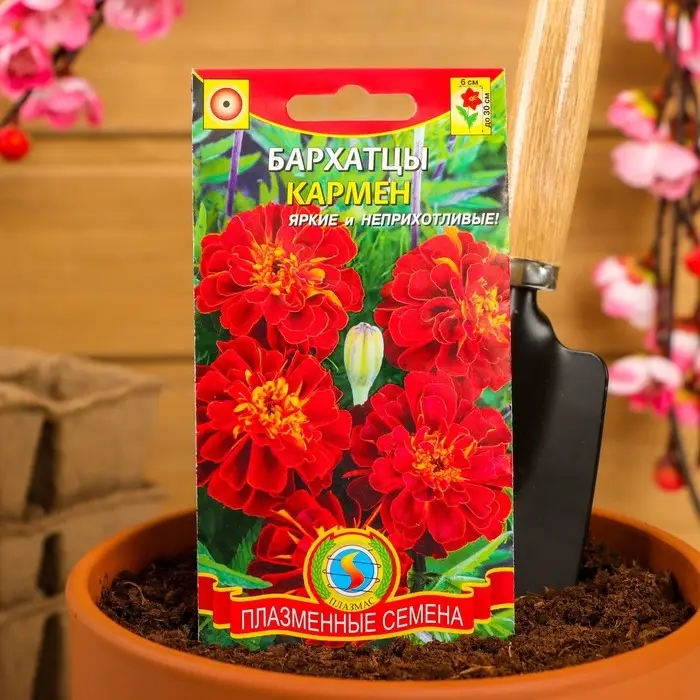 Семена Бархатцы "Кармен", красные с желтым, 45 шт