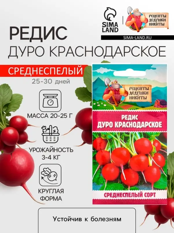 Семена Редис "Дуро Краснодарское", 1 г