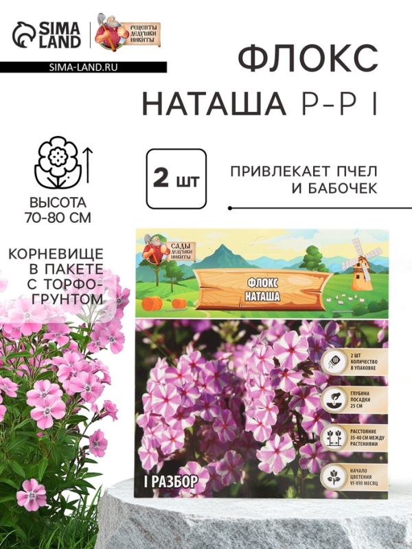 Флокс &laquo;Наташа&raquo; корневище в пакете с торфогрунтом, р-р I, 2 шт.