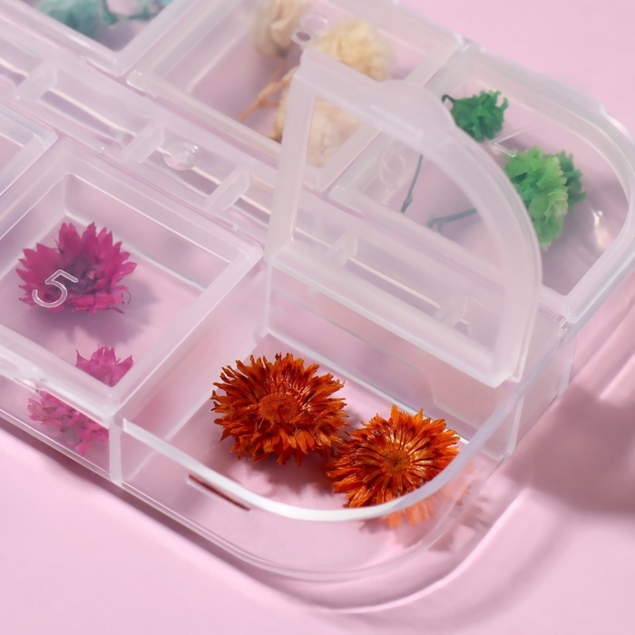 Сухоцветы для декора ногтей «Ассорти», объёмные, 12 видов, в футляре, разноцветные Сухоцветы для декора ногтей «Ассорти», объёмные, 12 видов, в футляре, разноцветные