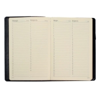 Ежедневник полудатированный А5, 208 листов Profy, рециклированная кожа, сменный блок, золотой срез, чёрный