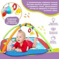 Развивающий коврик с дугами &laquo;Веселый парк&raquo;, 97&times;86 см, виды МИКС, Дельфин