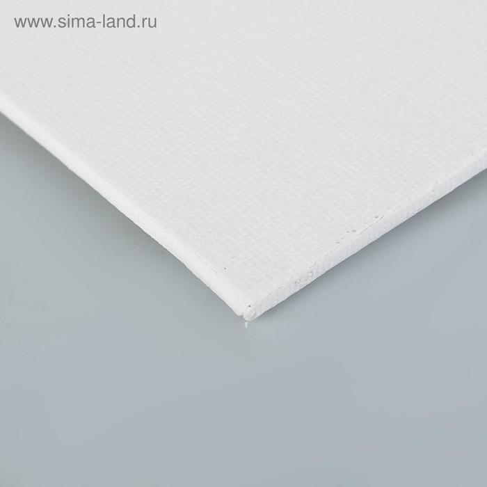 Холст на картоне 30 х 40 см, хлопок 100%, акриловый грунт, мелкозернистый, ЗХК "Сонет", DK13701-30x40
