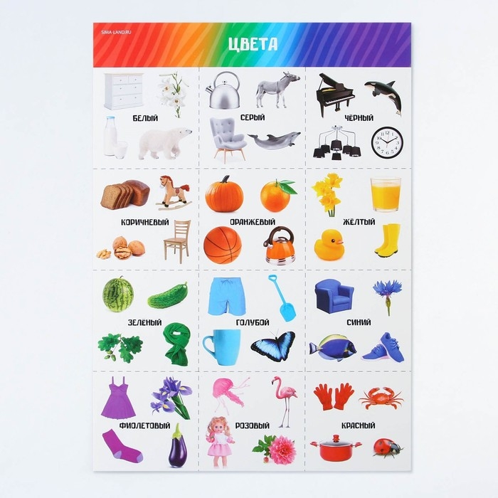 Набор обучающих плакатов &laquo;Изучаем мир&raquo;, 10 в 1, А4