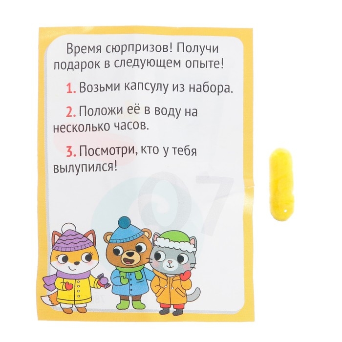 Набор для опытов 13 дней &laquo;Новогодний адвент-календарь&raquo;, 13 опытов