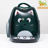 Рюкзак для переноски кошек "Котик", прозрачный, 34 х 25 х 40 см, зелёный Рюкзак для переноски кошек "Котик", прозрачный, 34 х 25 х 40 см, зелёный