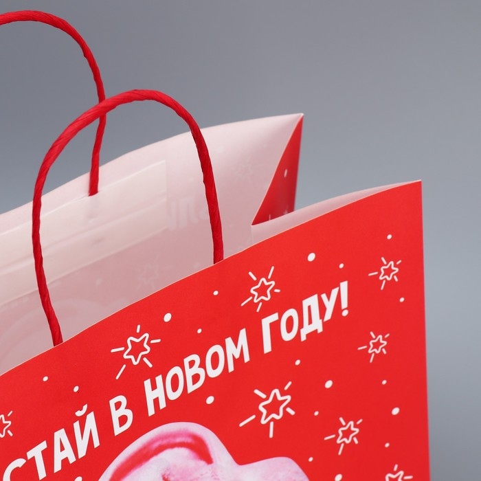 Пакет подарочный новогодний крафтовый &laquo;Блистай&raquo;, 28 х 32 х 15 см, Новый год