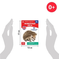 Книги набор «Карточки Домана на английском языке», 8 шт. по 24 стр. Книги набор «Карточки Домана на английском языке», 8 шт. по 24 стр.