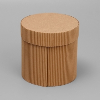 Коробка подарочная шляпная из микрогофры, упаковка, &laquo;Present for you&raquo;, 12 х 12 см