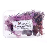 Набор для творчества &laquo;Набор сухоцветов&raquo;, малый, фиолетовый