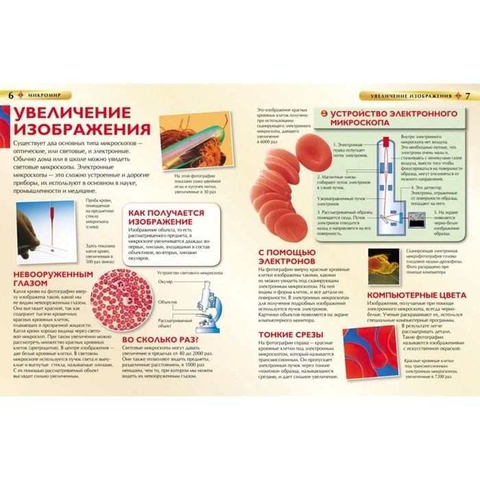 Детская энциклопедия &laquo;Микромир&raquo;